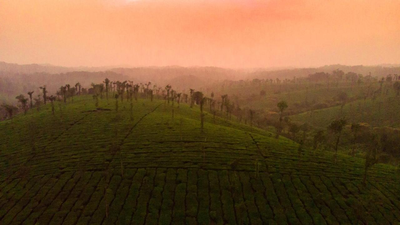 Willa Ama Plantation Trails Coorg Gonikoppal Zewnętrze zdjęcie